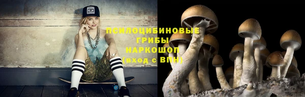 прущая мука Осташков