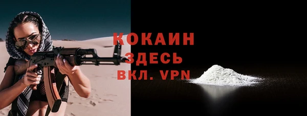 гашик Пестово