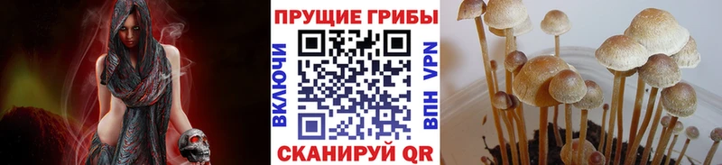 где найти   Пыталово  Галлюциногенные грибы прущие грибы 